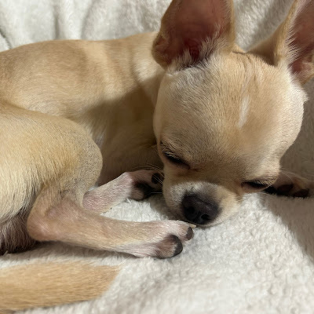 Meet your Posher, Tati m